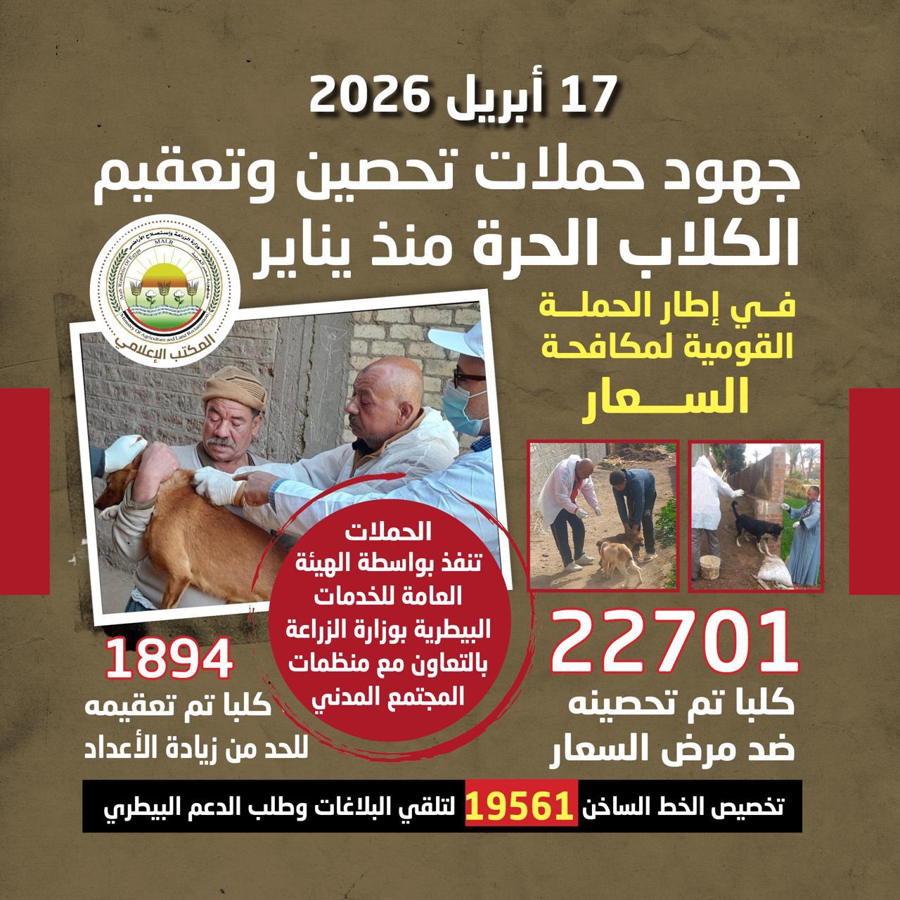 الزراعة تواصل حملتها القومية لمكافحة السعار وتعلن تحصين أكثر من 22 ألف كلب منذ بداية 2026 4 WhatsApp Image 2026 04 17 at 14.33.09