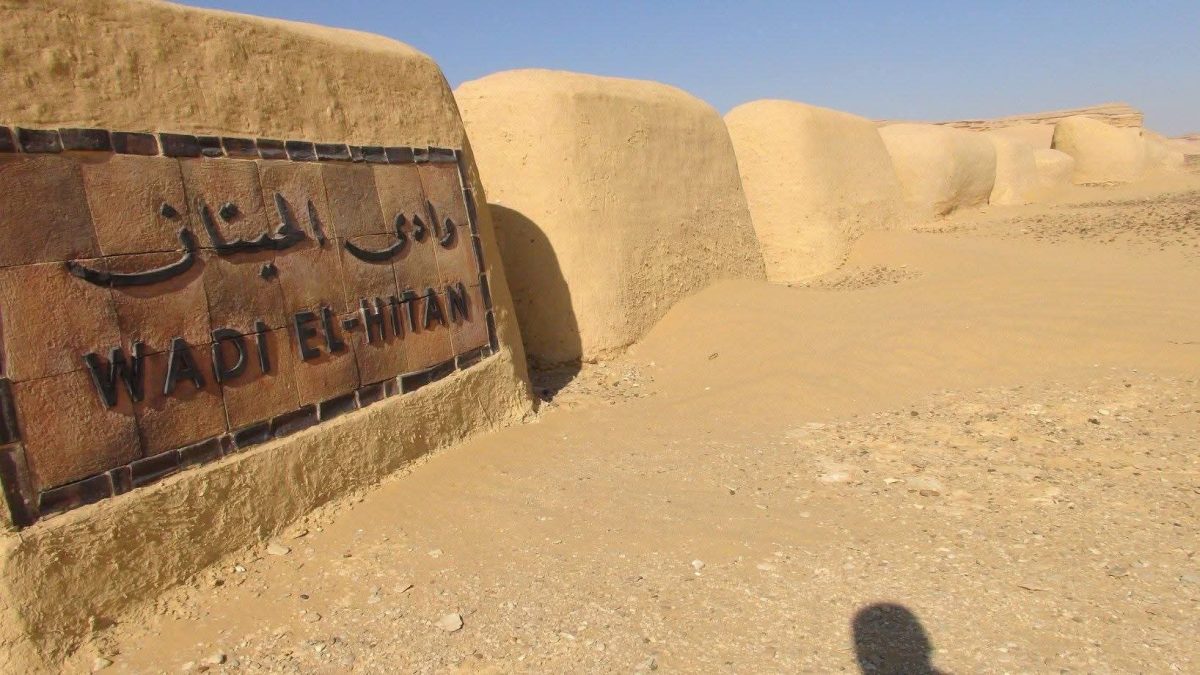 وادي الحيتان يحافظ على مكانته العالمية.. تجديد إدراجه بالقائمة الخضراء الدولية حتى 2031 تأكيد على ريادة مصر البيئية. 9 WhatsApp Image 2026 05 07 at 19.37.15