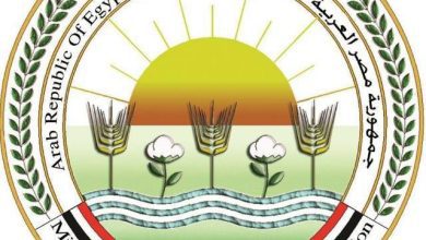 من المخلفات إلى الثروة.. الزراعة تحول آلاف الأطنان من نفايات المجازر إلى منتجات اقتصادية تدعم الاستدامة. 6 IMG 20260606 WA0014