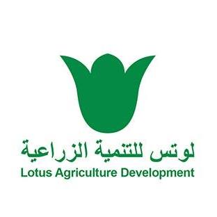 لوتس للتنمية