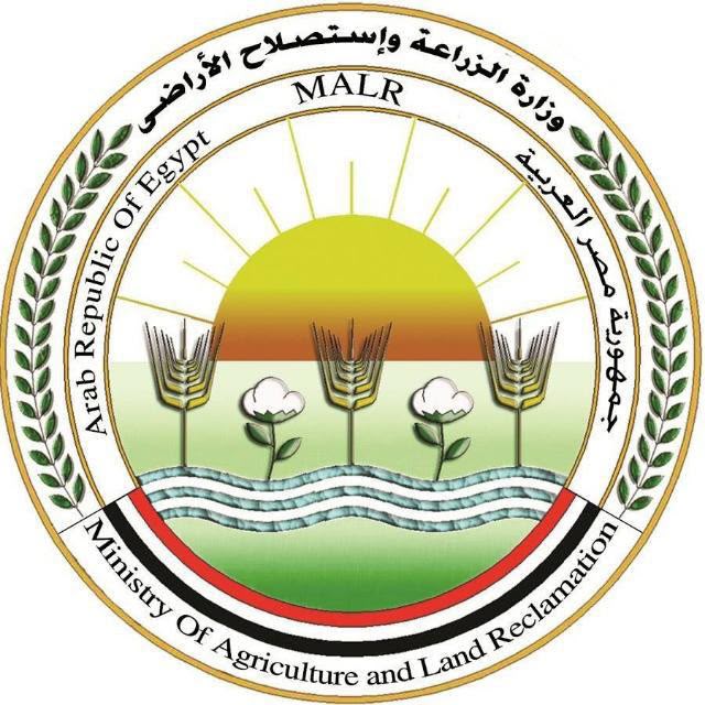 الزراعة تحسم الجدل: لا انتشار وبائي للجلد العقدي وتحصين 4 ملايين رأس ماشية يعزز حماية الثروة الحيوانية 1 IMG 20260716 WA0021