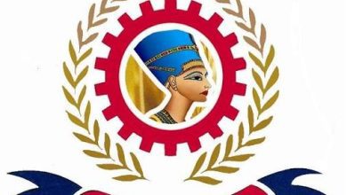 مطاحن مصر الوسطى