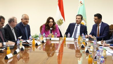 «من "الاستهلاك" إلى "التصنيع".. تحرك حكومي رباعي لتحويل 10 قرى مصرية إلى قلاع إنتاجية كمرحلة أولى» 5 وزير الصناعة