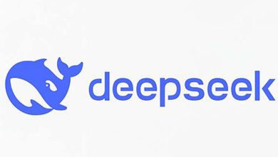 deepseek