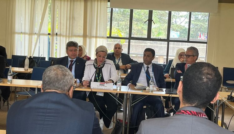 الدكتورة ياسمين فؤاد وزيرة البيئة