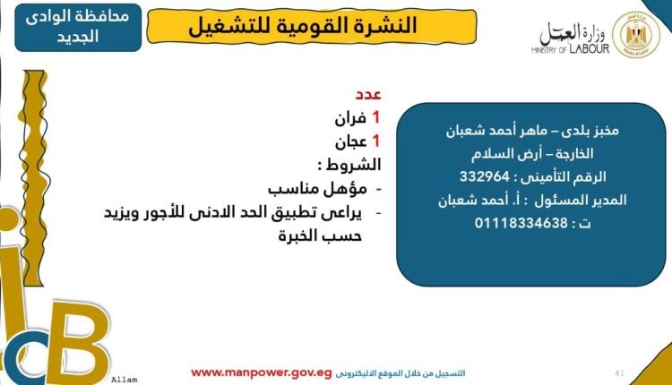 WhatsApp Image 2025-03-06 at 3.21.35 PM