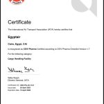 WhatsApp Image 2025 04 29 at 8.12.52 PM 2