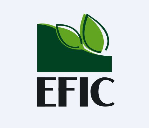 المالية والصناعية المصرية