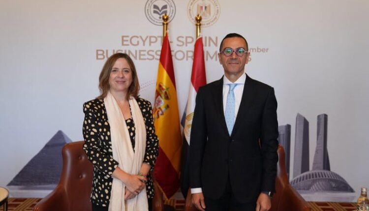 حسن الخطيب، وزير الاستثمار والتجارة الخارجية المصري