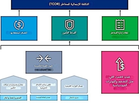 التكلفة الإجمالية للمخاطر