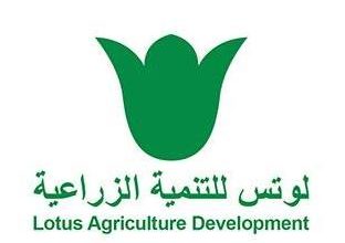 لوتس للتنمية