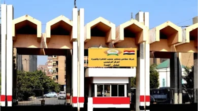 مطاحن جنوب القاهرة والجيزة